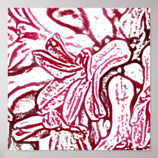 Hyacinth Pink bewerkt Poster (Voorkant)
