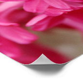 Hyacinth Pink Canvas Poster (Hoek)