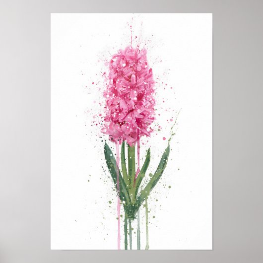 Hyacinth Poster (Voorkant)