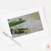 Hyacinth Rechthoekige Sticker (Envelop)