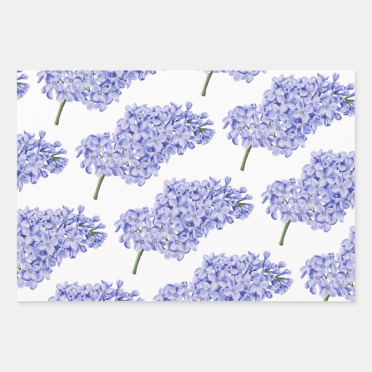 Hyacinth Wrapping Paper Sheets (Voorkant 2)