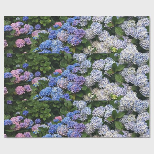 Hyacintha Cadeaupapier (Vlak)