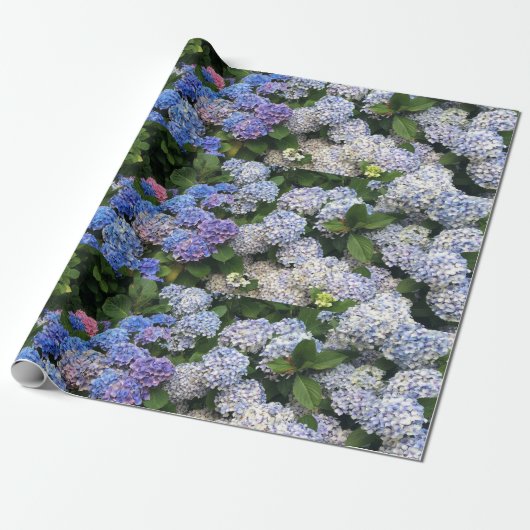 Hyacintha Cadeaupapier (Uitgerold)