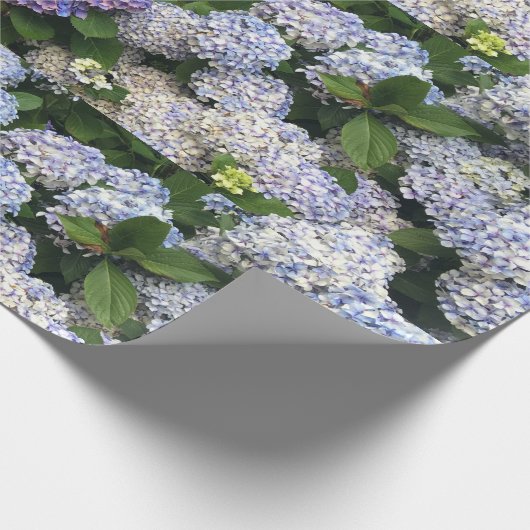 Hyacintha Cadeaupapier (Hoek)