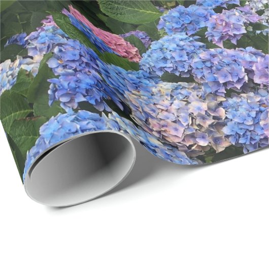 Hyacintha Cadeaupapier (Rol Hoek)