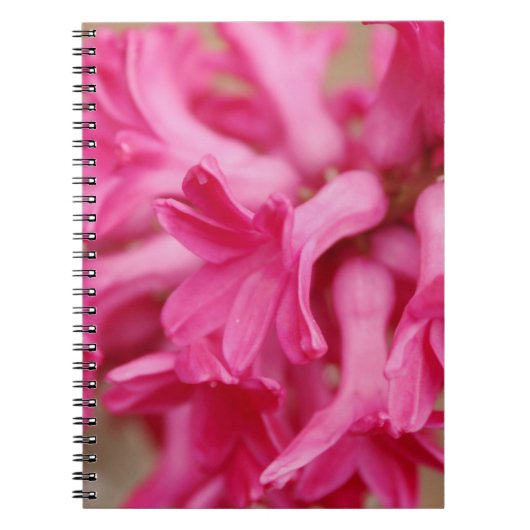Hyacinthe Pink Notitieboek (Voorkant)