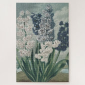 Hyacinthen (1807) – Uitstekende Vintage Botanische Legpuzzel (Verticaal)