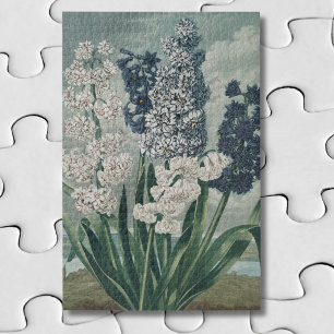 Hyacinthen (1807) – Uitstekende Vintage Botanische Legpuzzel
