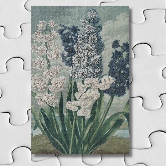 Hyacinthen (1807) – Uitstekende Vintage Botanische Legpuzzel