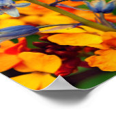 Hyacinthoides Bluebell Spring Flowers Poster (Hoek)