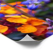 Hyacinthoides Bluebell Spring Flowers Poster (Hoek)