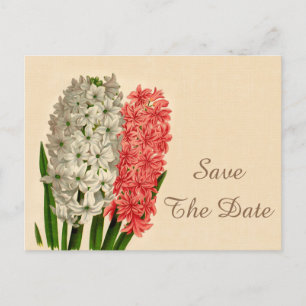 Hyacinths 100th Birthday Bewaar de datum Aankondigingskaart