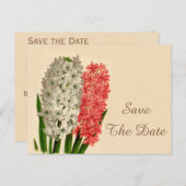 Hyacinths 100th Birthday Bewaar de datum Aankondigingskaart (Voorkant / Achterkant)