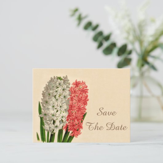 Hyacinths 100th Birthday Bewaar de datum Aankondigingskaart (Staand voorkant)