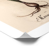 Hyacinths Botanische Afdruk Poster (Hoek)