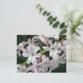 Hyacinths Briefkaart (Staand voorkant)
