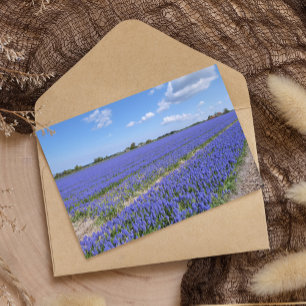 Hyacinths Briefkaart