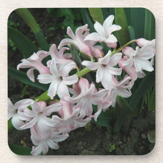 Hyacinths Cork Onderzetter (Voorkant)