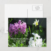 Hyacinths en Daffodil Briefkaart (Voorkant / Achterkant)