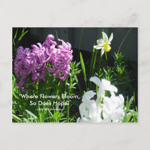 Hyacinths en Daffodil Briefkaart