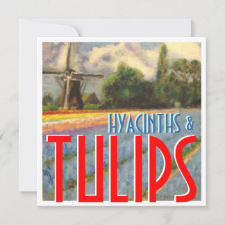 Hyacinths en Tulps Windmill