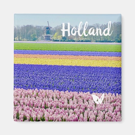 Hyacinths in Holland - magneet van Velvet Escape (Voorkant)