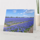 Hyacinths Kaart (Voorkant)