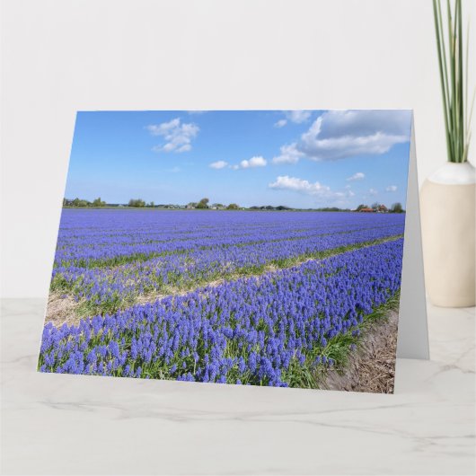 Hyacinths Kaart (Voorkant)