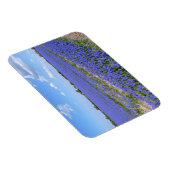 Hyacinths Magneet (Rechterzijde)