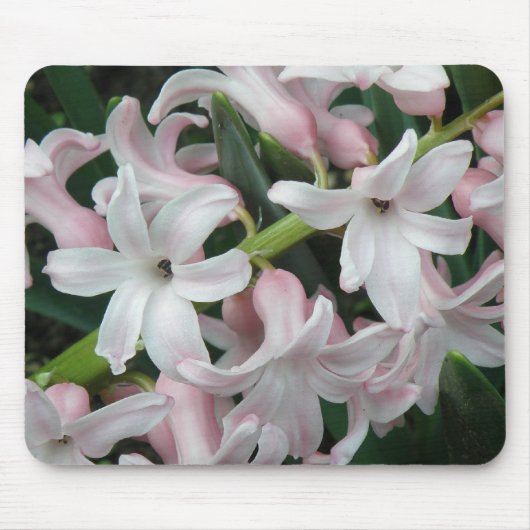 Hyacinths Mousepad Muismat (Voorkant)