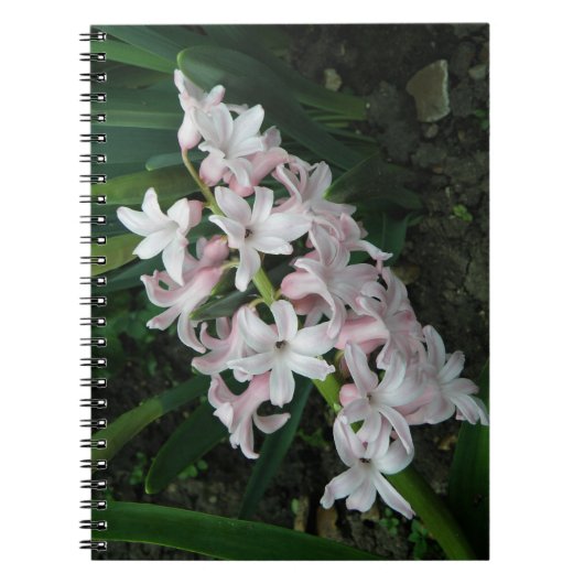 Hyacinths Notitieboek (Voorkant)