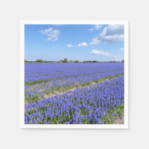 Hyacinths Servet