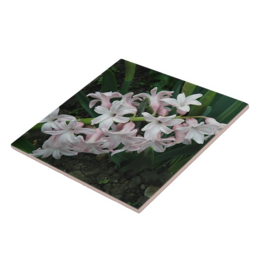 Hyacinths Tile Tegeltje (Zijkant)