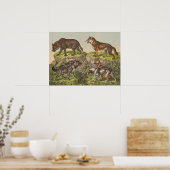 Hyaena, Wolf en Dogs Poster (Keuken)
