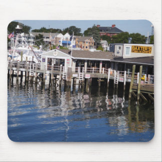 Hyannis Harbour, kabeljauw Cape Muismat