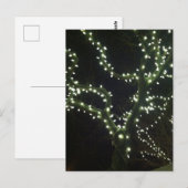 Hyannis Lights Postcard Briefkaart (Voorkant / Achterkant)