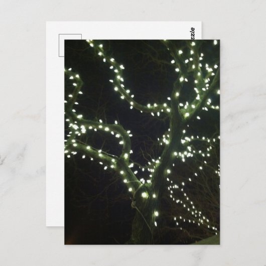 Hyannis Lights Postcard Briefkaart (Voorkant / Achterkant)