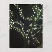 Hyannis Lights Postcard Briefkaart (Voorkant)