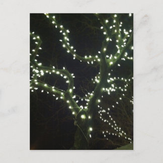 Hyannis Lights Postcard Briefkaart