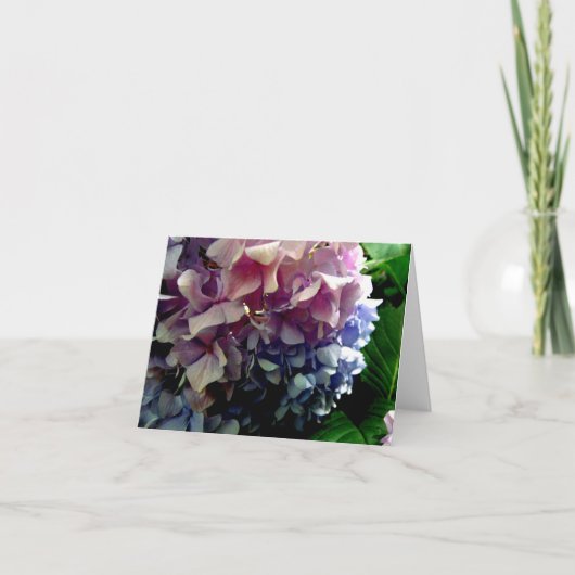 Hybrid Hydrangea Notecard Kaart (Voorkant)