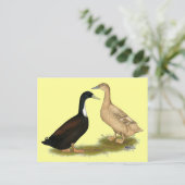 Hybrid Laying Duck Briefkaart (Staand voorkant)