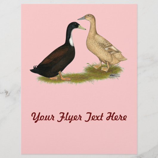 Hybrid Laying Duck Flyer (Voorkant)