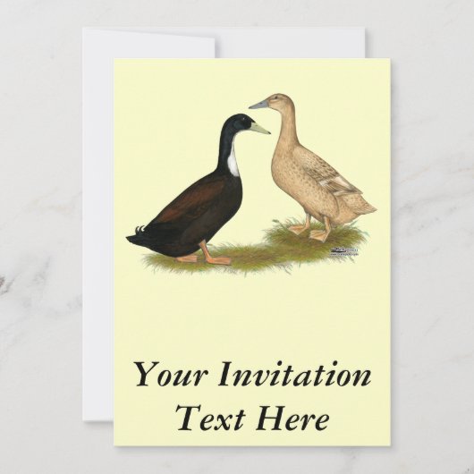 Hybrid Laying Duck Kaart (Voorkant)