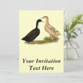 Hybrid Laying Duck Kaart (Staand voorkant)