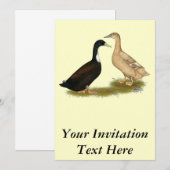 Hybrid Laying Duck Kaart (Voorkant / Achterkant)
