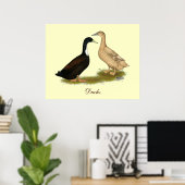 Hybrid Laying Duck Poster (Thuiskantoor)