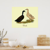 Hybrid Laying Duck Poster (Keuken)