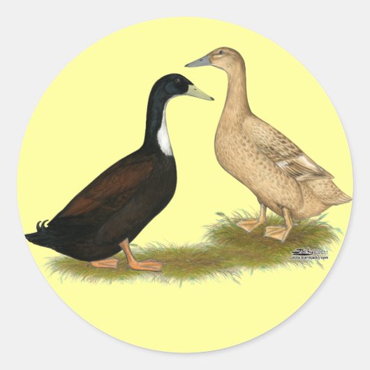 Hybrid Laying Duck Ronde Sticker (Voorkant)