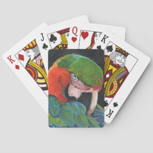Hybrid Macaw Pokerkaarten