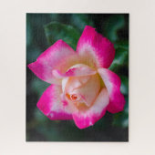 Hybrid Tea Roos Jigzaag Puzzle Legpuzzel (Verticaal)
